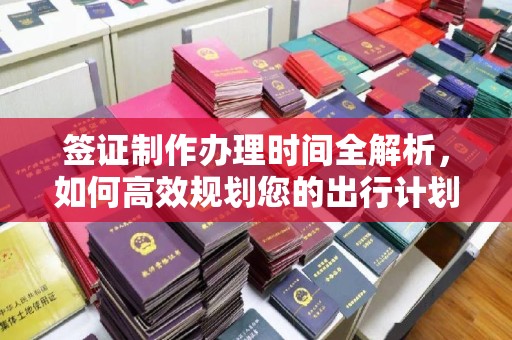 坪山新区签证制作办理时间全解析，如何高效规划您的出行计划
